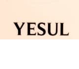 Yesul