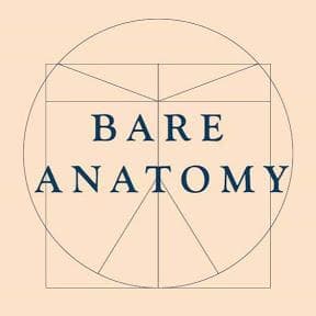 Bare Anatomy