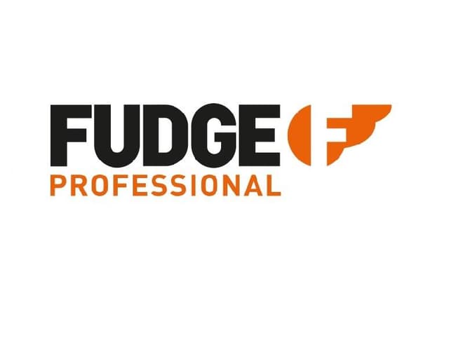 Fudge Professional