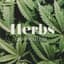 Herbs CBD Specialists