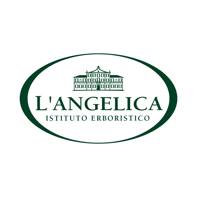 L'Angelica