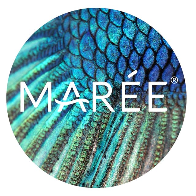 Marée