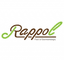 Rappol