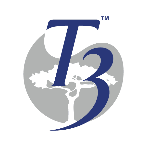 T3
