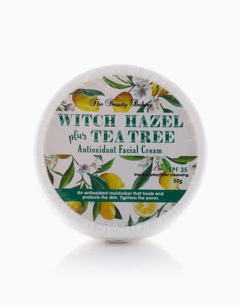 Witch Hazel + Tea Tree Antioxidant Facial Cream