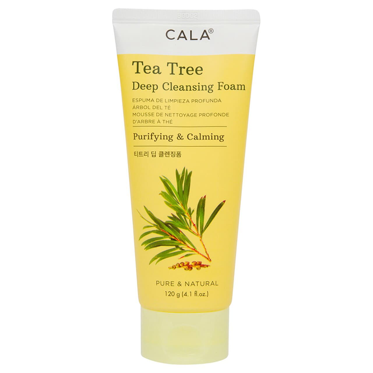 Tea Tree Deep Cleansing Foam