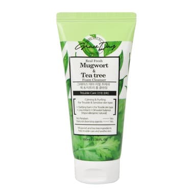 Mugwort & Tea Tree Foam Cleanser
