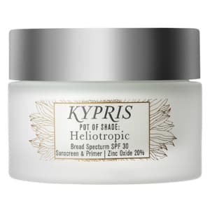 Pot of Shade: Heliotropic