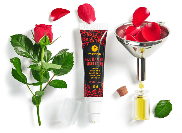 Rejuvenating Night Cream 