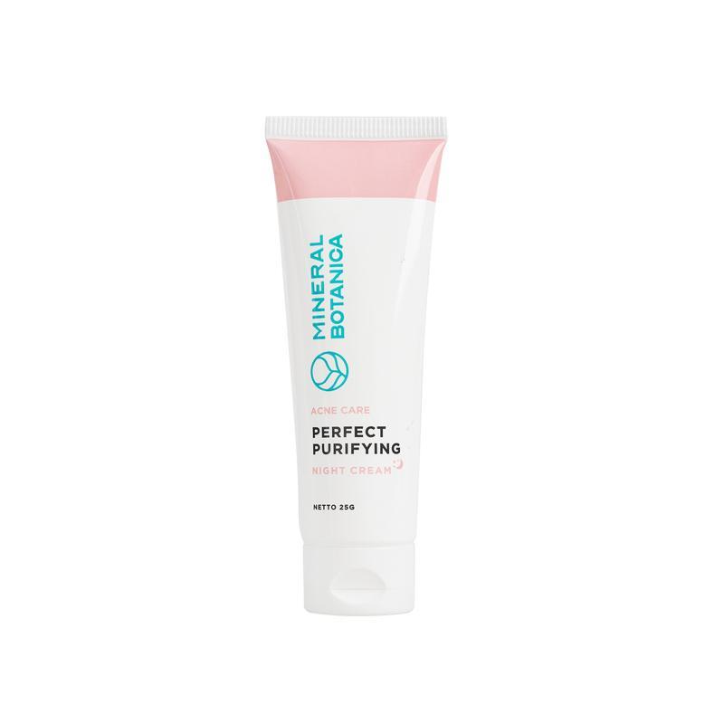 Acne Care Perfect Purifying Night Cream