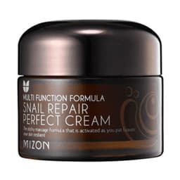 Snail Repair Perfect Cream