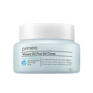 Watery Oil-Free Gel Cream