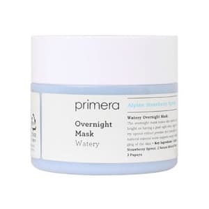Watery Overnight Mask