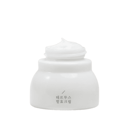 Thermus Fermented All Day Vitalizing Cream