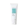 Mexico Nopal Cactus Moisture Foam Cleanser