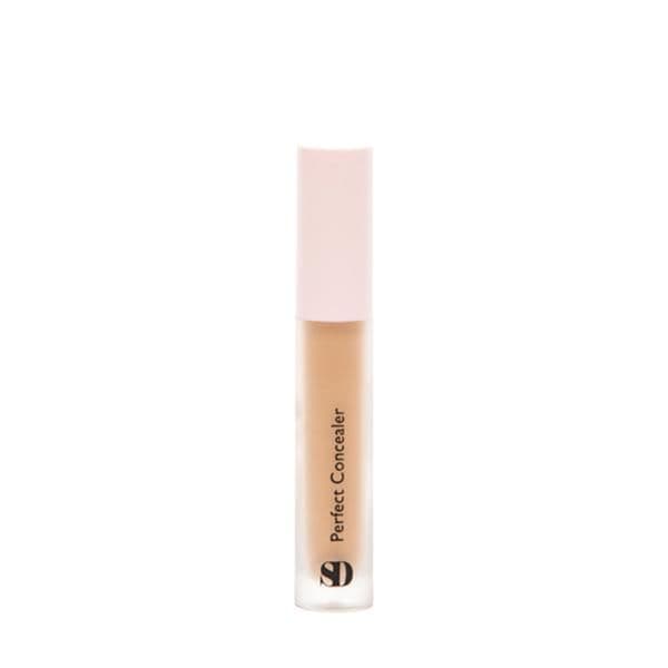 Perfect Concealer