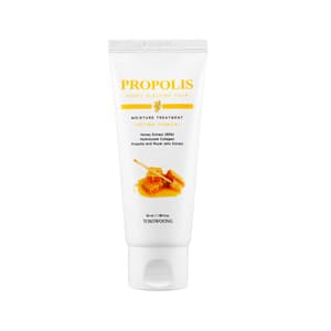 Propolis Honey Sleeping Pack