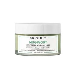 Mugwort Anti Pores & Acne Clay Mask review