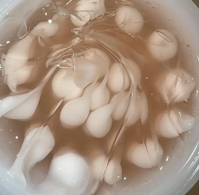 Centellian24 Mela Capture Ampoule Capsule Cream review photo by asianvee