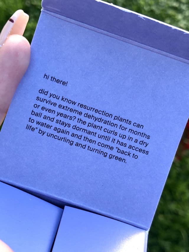 Cocokind Resurrection Polypeptide Cream review photo by skintrovertt