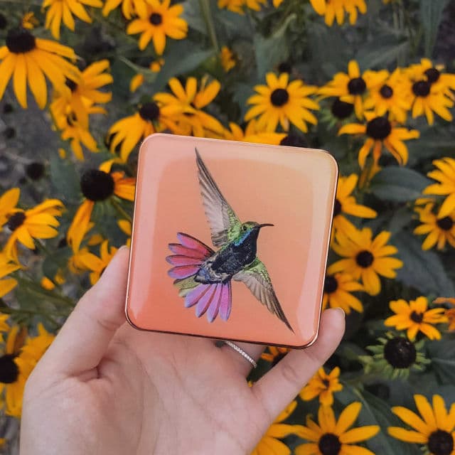 Chantecaille Perfect Blur Finishing Powder review photo by SashaGrace