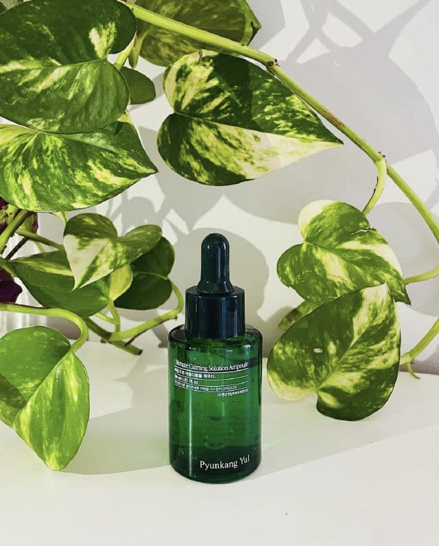 Pyunkang Yul Ultimate Calming Solution Ampoule review photo by CollectionSensations