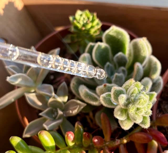 TIAM Vita B3 Source review photo by SuKore