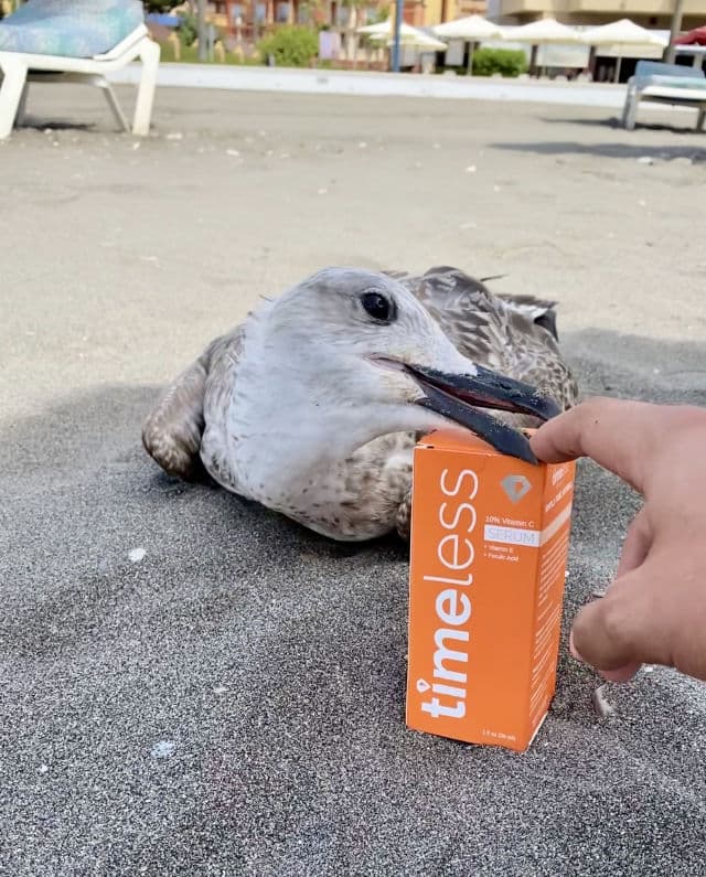 Timeless Skincare 10% Vitamin C + E Ferulic Acid Serum review photo by SuKore