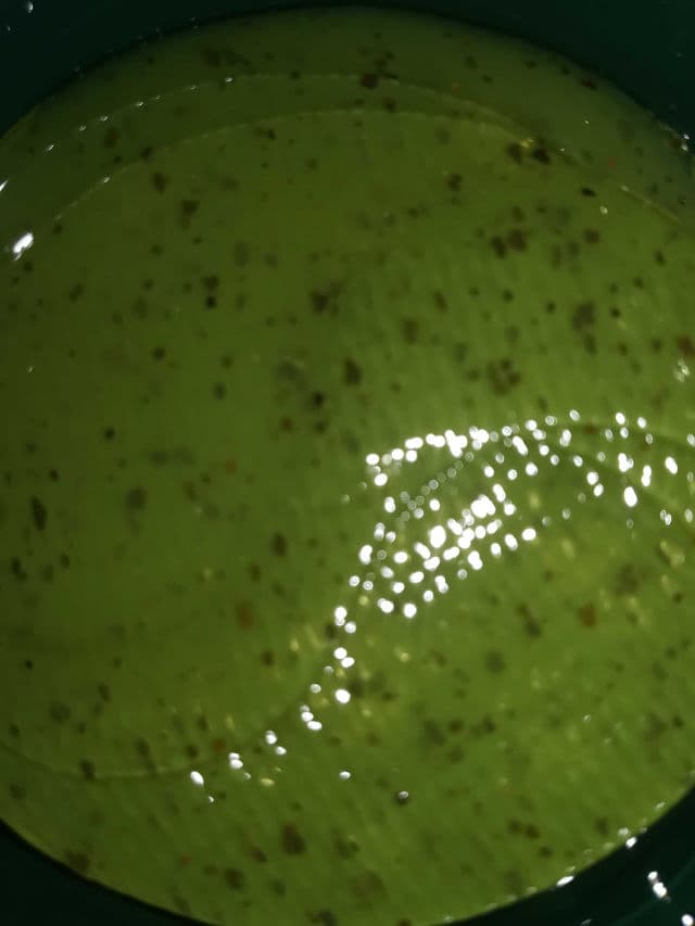 Jayjun Real Green Tea Hydrogel Eye Patch review photo by dfs