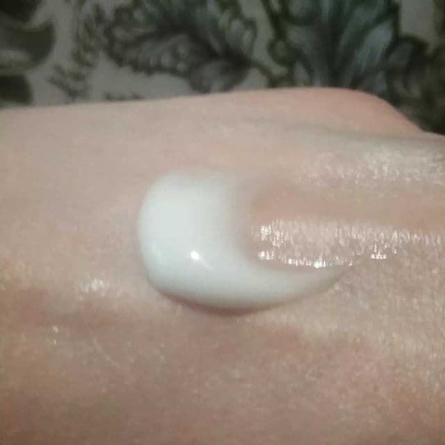 Brandefy Water Cream Oil-Free Moisturizer review photo by Picky36781