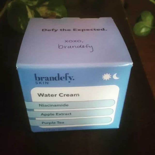 Brandefy Water Cream Oil-Free Moisturizer review photo by Picky36781