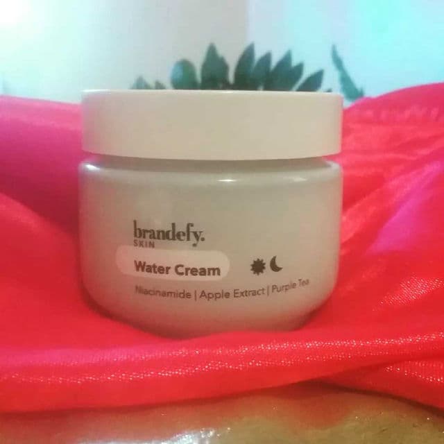 Brandefy Water Cream Oil-Free Moisturizer review photo by Picky36781