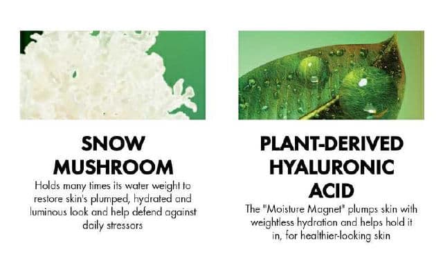 Origins Dr. Andrew Weil for Origins Mega-Mushroom Soothing Hydra-Mist with Reishi & Snow Mushroom review photo by Picky36781