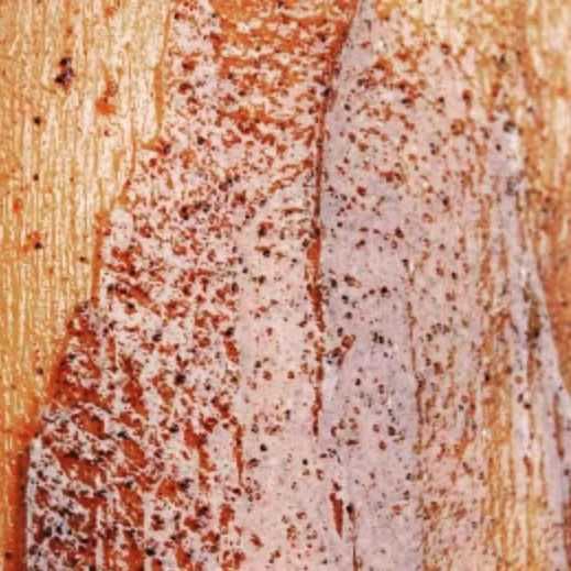 Costa Brazil Body Scrub review photo by Picky36781