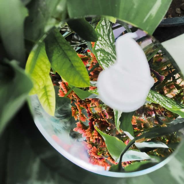 Wardah Crystal Secret Refreshing Day Gel  review photo by fadaychickin