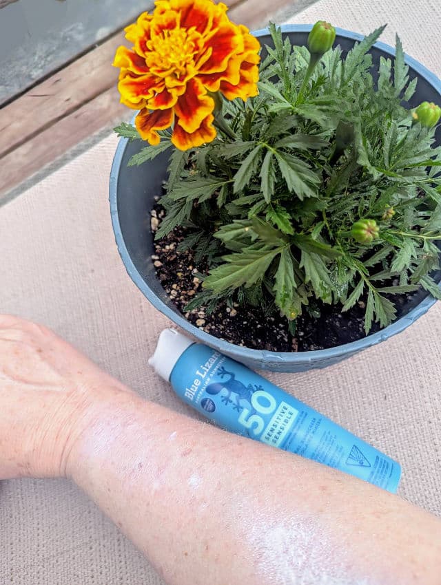 Blue Lizard Sport SPF 50+ Mineral Sunscreen Spray review photo by remedyforbeauty