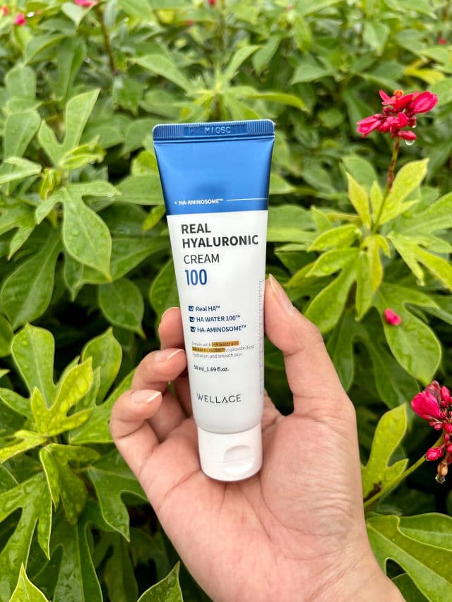 Wellage Real Hyaluronic Cream 100 review photo by Nuryn