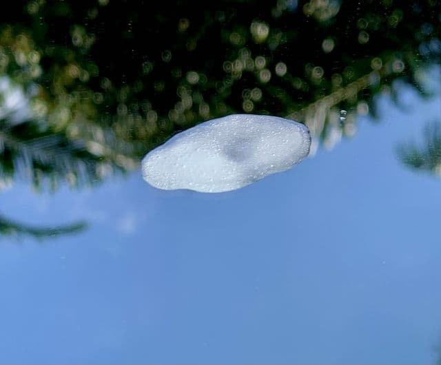 Nature's Palette Octa-Blu Skin Refining Serum review photo by cuwaya