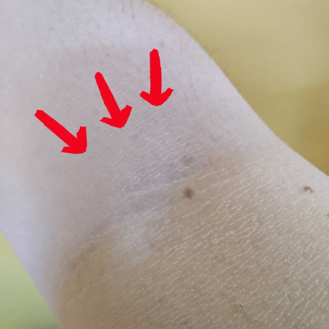 Professional 365 Sun Cream SPF50+ PA+++ product review