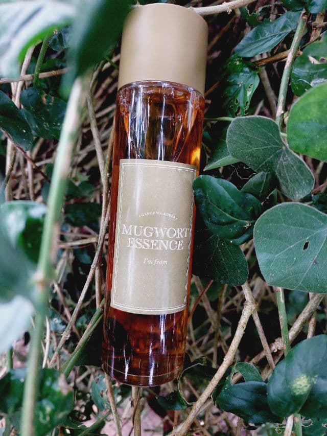 I'M FROM Mugwort Essence review photo by Soojin