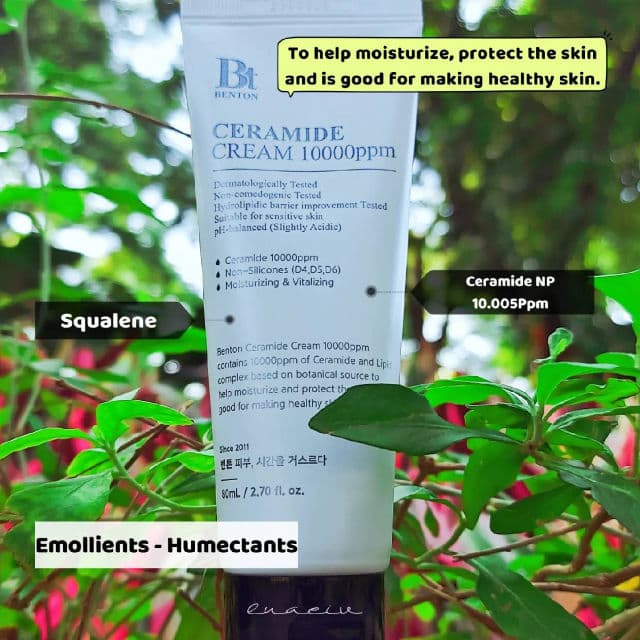 BENTON Ceramide Cream 10000ppm review photo by luaeiv