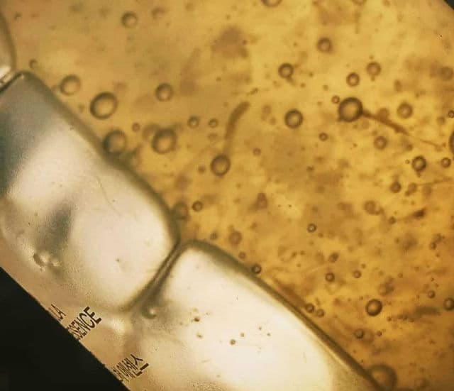 Artemisia Return Ampoule product review