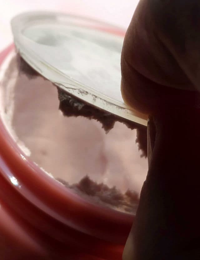 DEW of the GODS Claydate Healing Mask review photo by SarriK