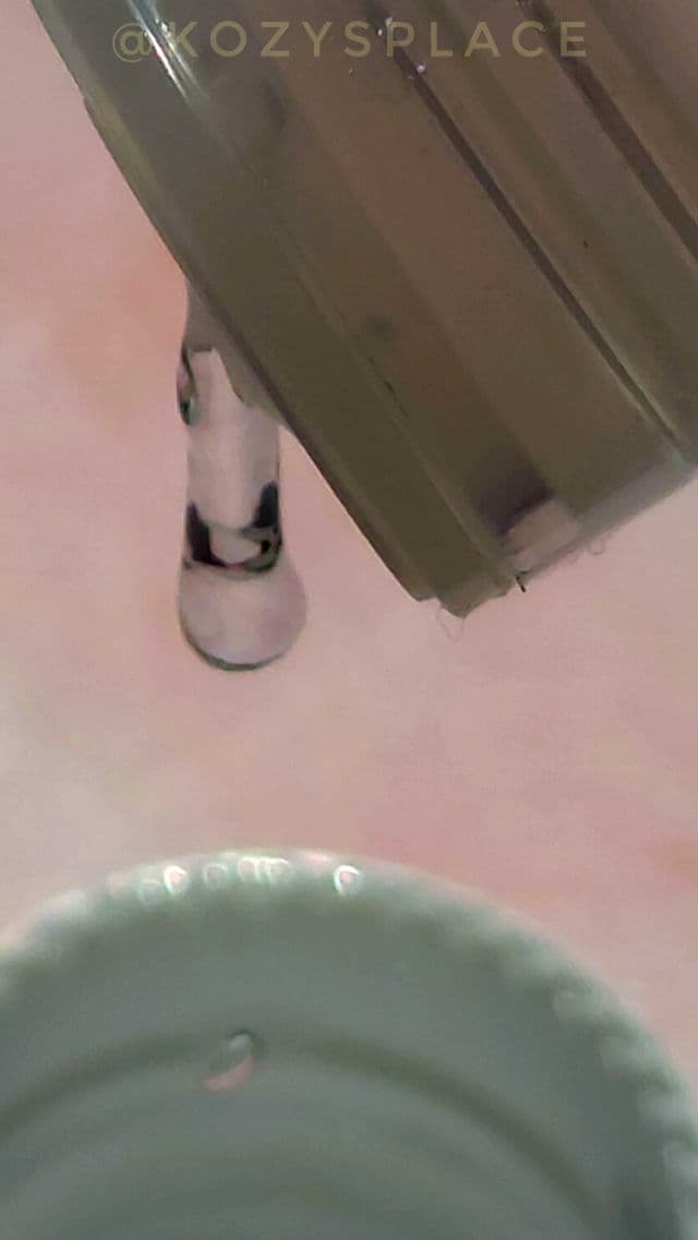 RAVIEL Rosemary Pore Healing Toner  review photo by SarriK