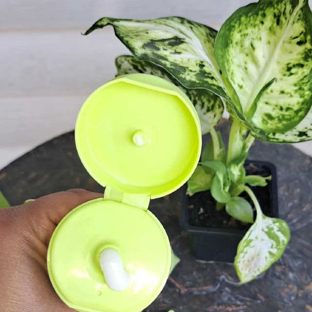 Skinfix Resurface+ Glycolic Renewing Body Scrub review photo by Wendy22