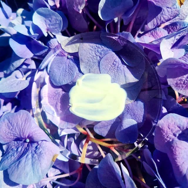 Glow Recipe Watermelon Glow Niacinamide Sunscreen SPF 50 review photo by canadianskincare