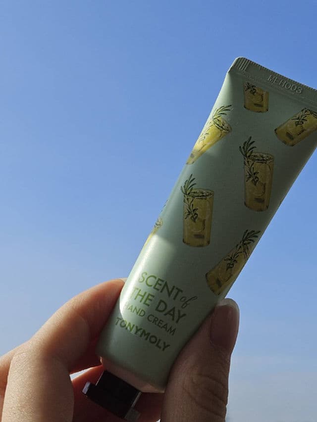 TONYMOLY So Cozy review photo by woder23