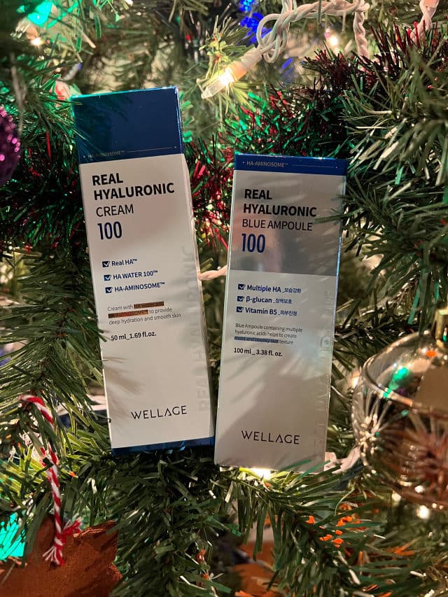 Wellage Real Hyaluronic Cream 100 review photo by mary0528