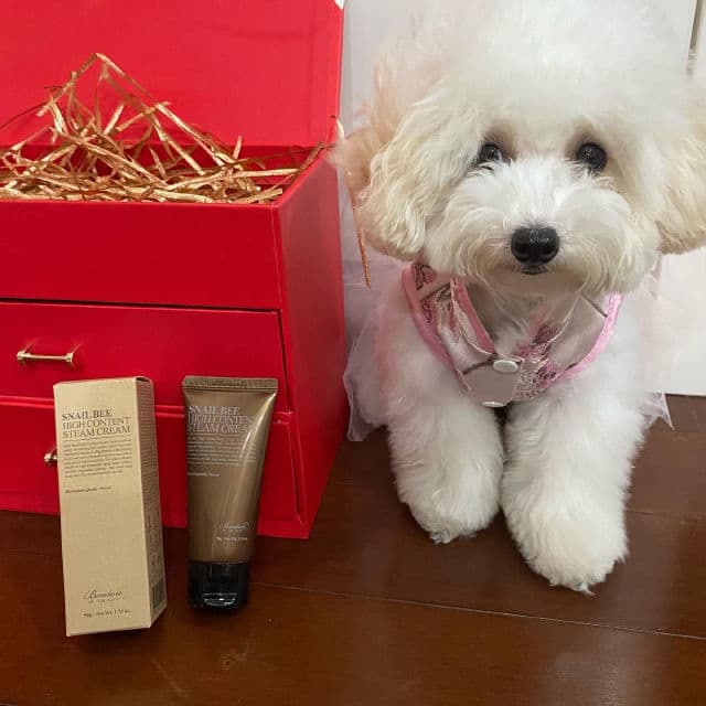 BENTON Snail Bee High Content Steam Cream review photo by naomiAurora