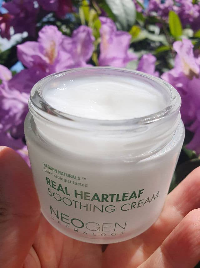 NEOGEN Dermalogy Real Heartleaf Soothing Cream review photo by Lidia78